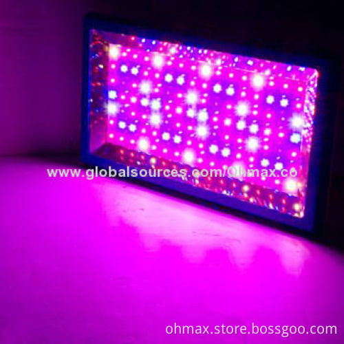 300W Greenhouse LED Grow Light, Full Spectrum for Indoor Vegetables and Medicinal Plant, CE/FCC/RoHS